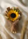 Besty Florist Buket Flanel Mini - Bunga Matahari 1