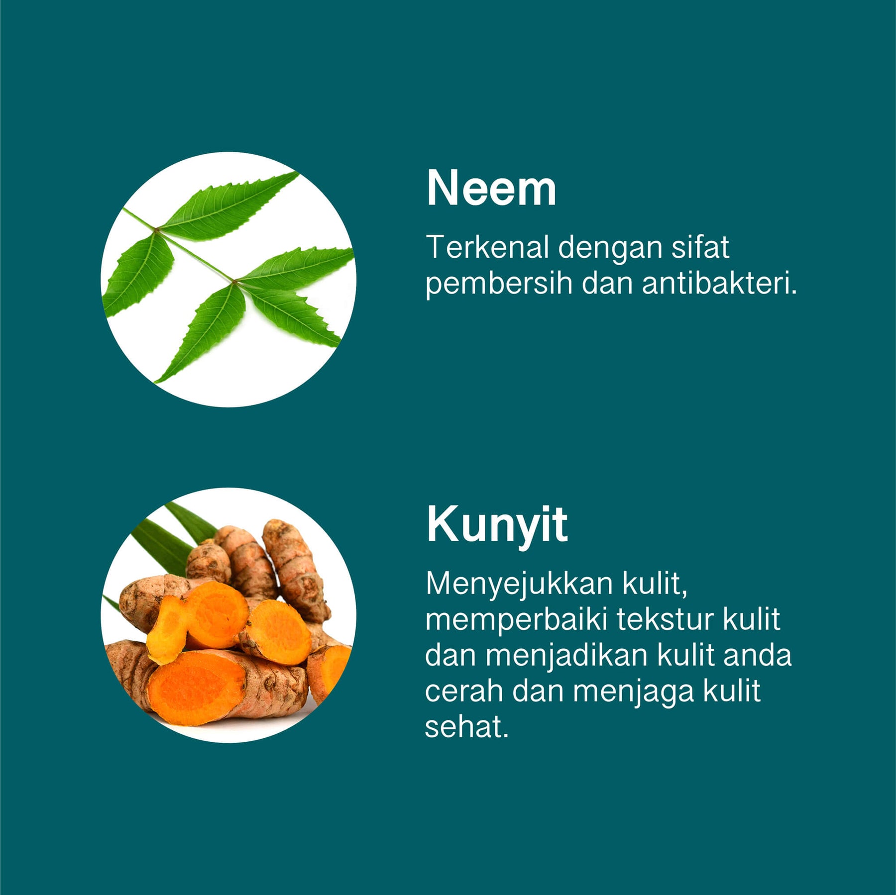 Purifying Neem Mask 5