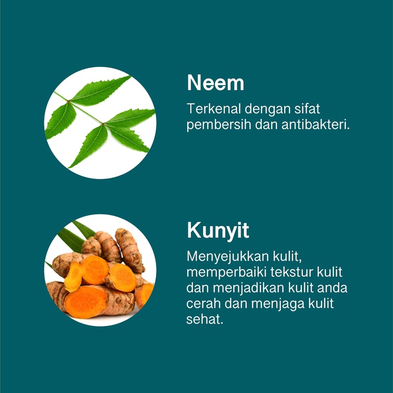 Purifying Neem Mask 5