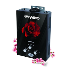 Gas Water Heater