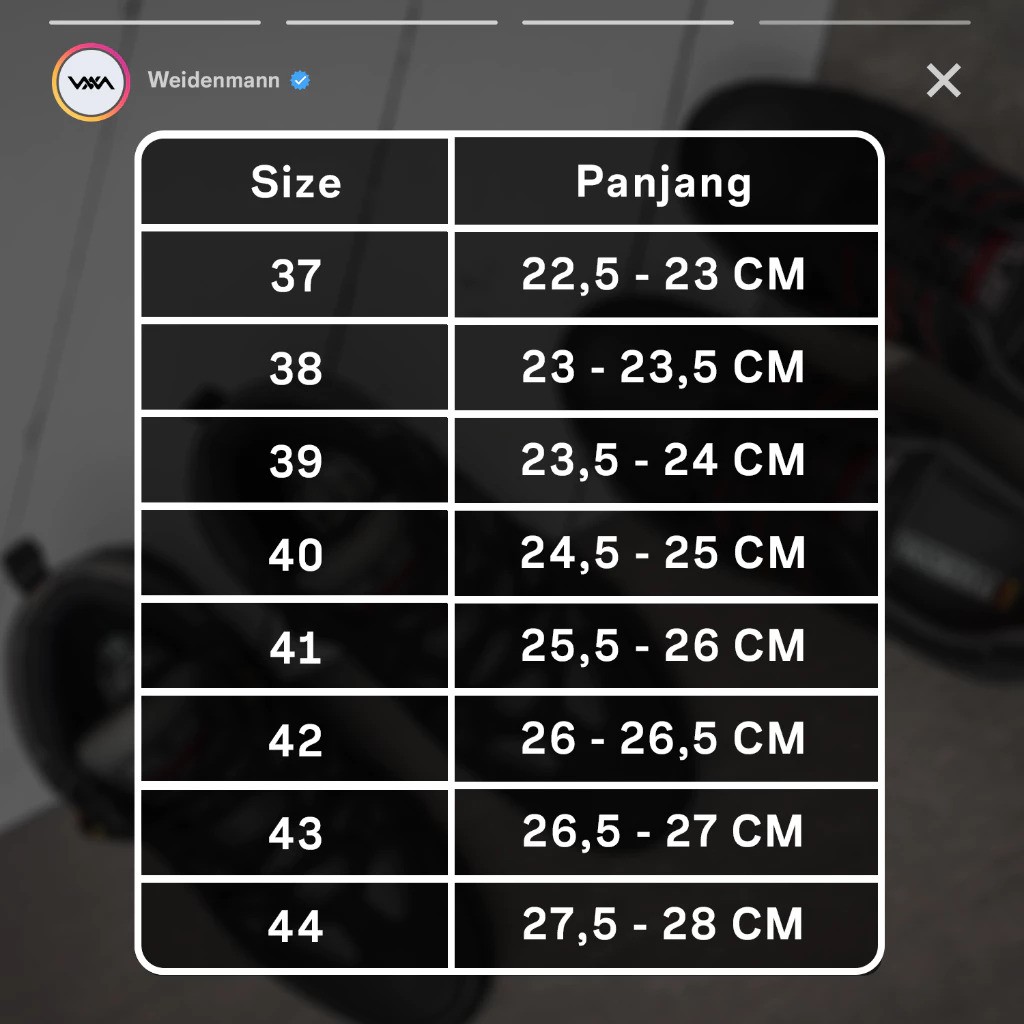 Sugih Jaya Weidenmann Stinger B 01
