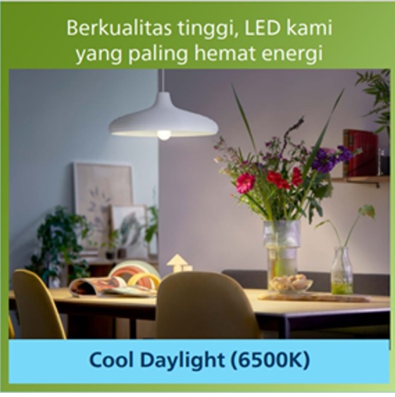 Philips Electronics Nederland B.V. Philips LED Bulb Ultra Efficient Cool Daylight