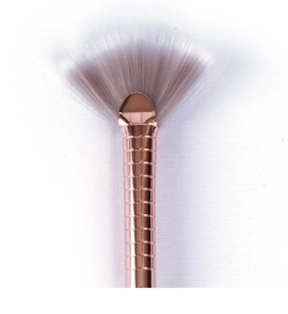 Deluxe Mini Fan Brush 4