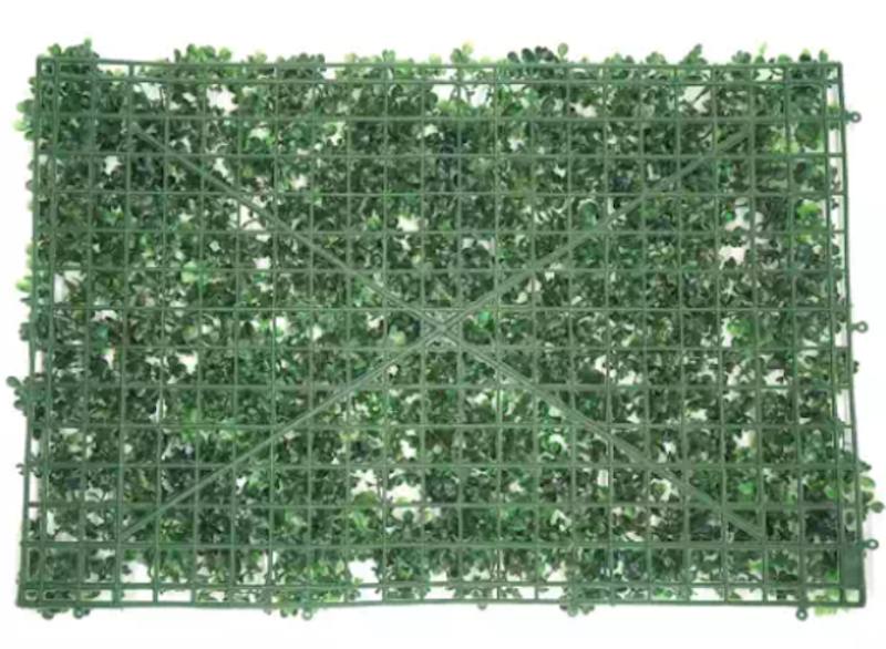 Panel Tanaman Vertikal Daun Dollar 5