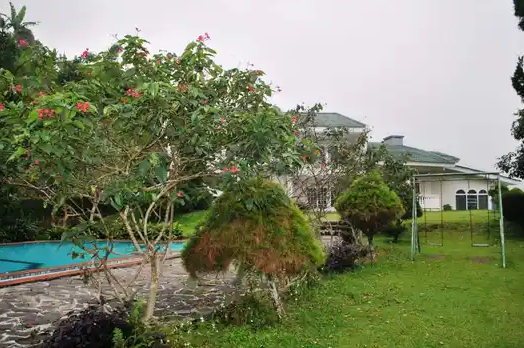 The Anty Resort 3