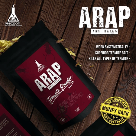 Racoon ARAP Termite Powder