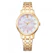 CITIZEN Eco-Drive Mother of Pearl Dial Gold Stainless Steel Strap 1