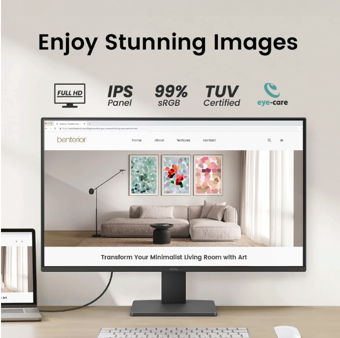 BenQ Corporation BenQ Eye Care Monitor GW2491 GW2491