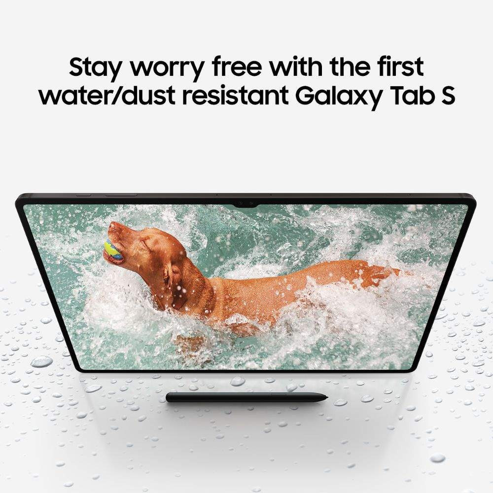 Samsung Electronics Samsung Galaxy Tab S9 FE WiFi