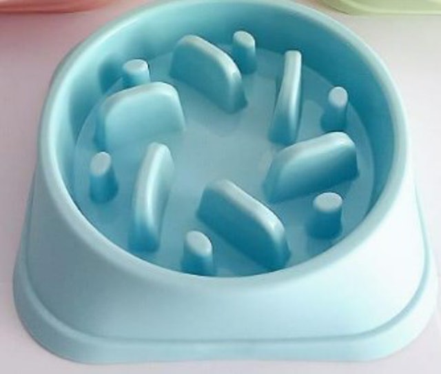Pet Bowl Slow Feeder