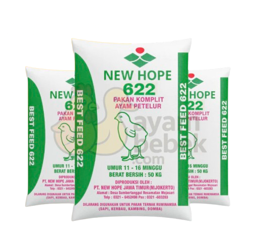 New Hope 622 1