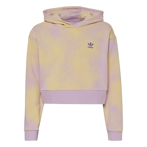 Hoodie Crop Graphic Print ｜ HK2942