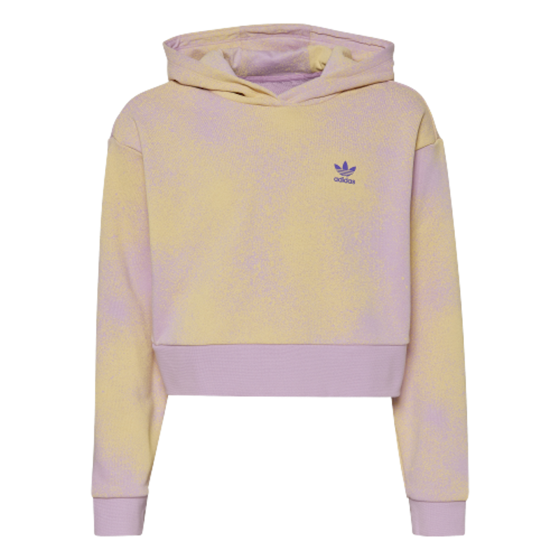 Hoodie Crop Graphic Print 1