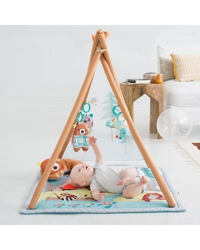 Skip Hop Camping Cub Activity Gym 2