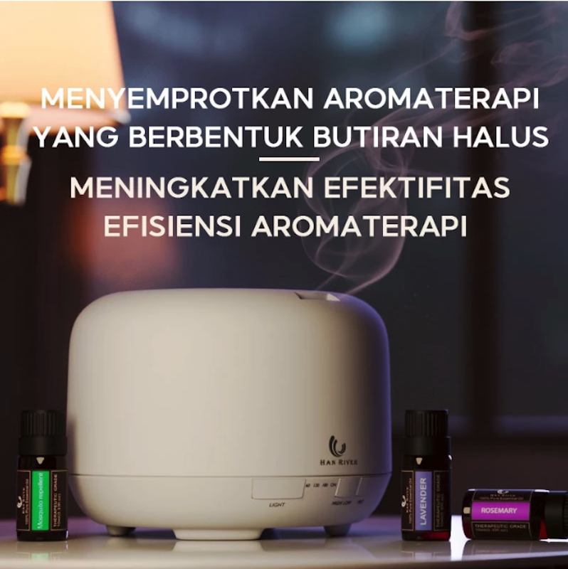 HAN RIVER Diffuser Air Humidifier 3