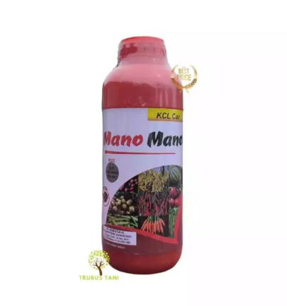 Mano Mano KCL Cair  1