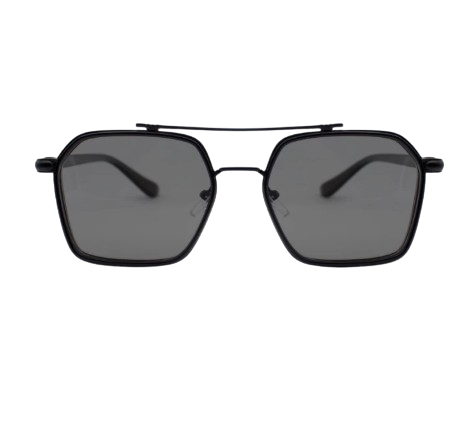 Robins Sunglasses Black ｜ K0039
