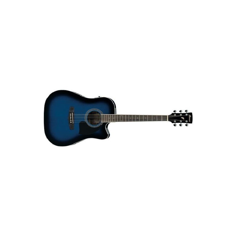 Ibanez Acoustic Electric Guitar 1