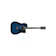 Hoshino Gakki Ibanez Acoustic Electric Guitar 1