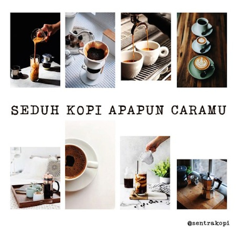 Sentra Kopi Kopi Arabika Aceh Gayo 4