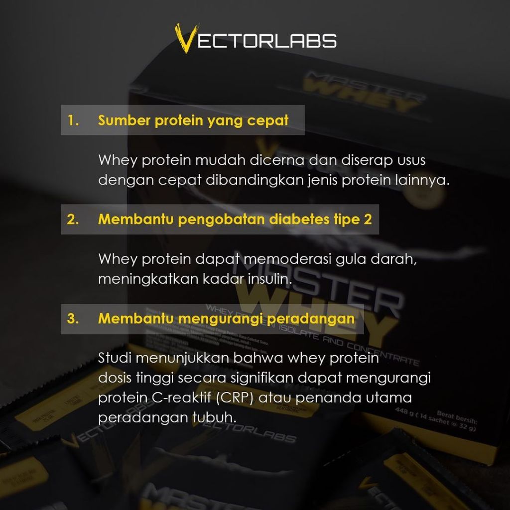 Vectorlabs  Master Whey Choco Amaretto