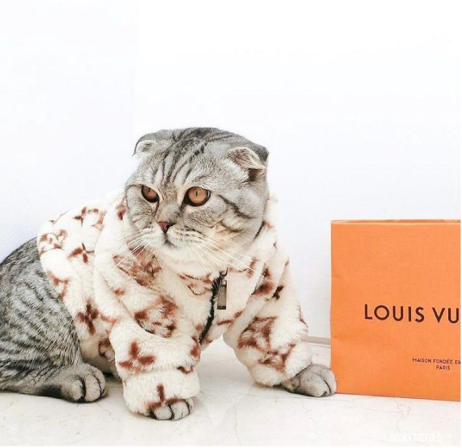 Gipawnchy Pets Louis Pawtton Fur Jacket 