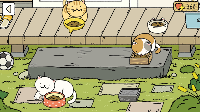 Adorable Home 4