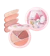 FCL Internasional Indonesia Eyeshadow Palette Matte Shimmer 1