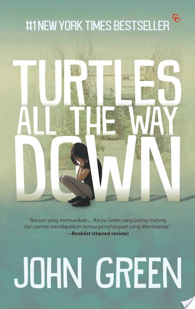 Turtles All The Ways Down 1