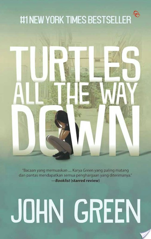Turtles All The Ways Down 1