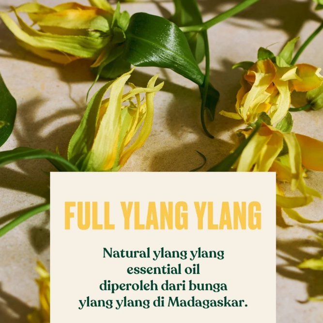 The Body Shop International The Body Shop® Full Ylang Ylang Eau De Parfum
