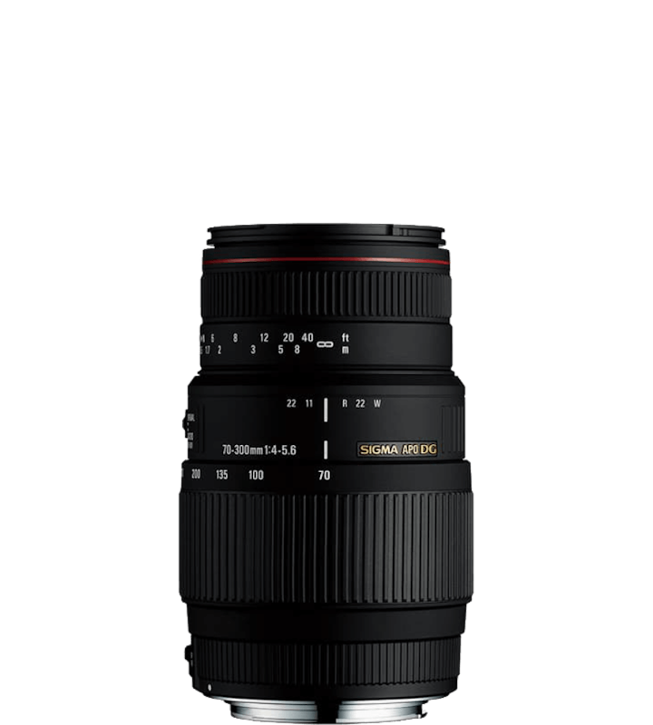 APO 70-300mm F4-5.6 DG MACRO 2