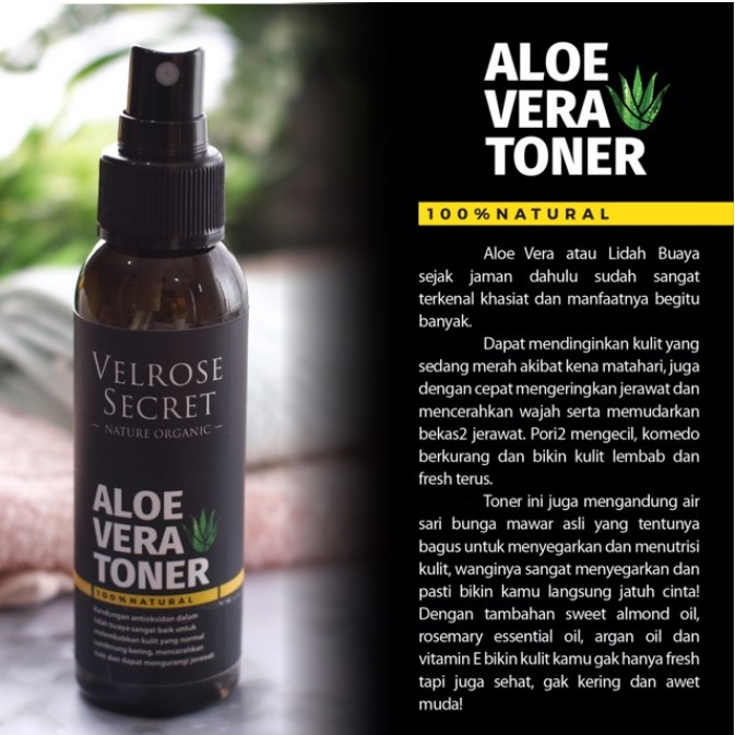 Aloe Vera Toner 2
