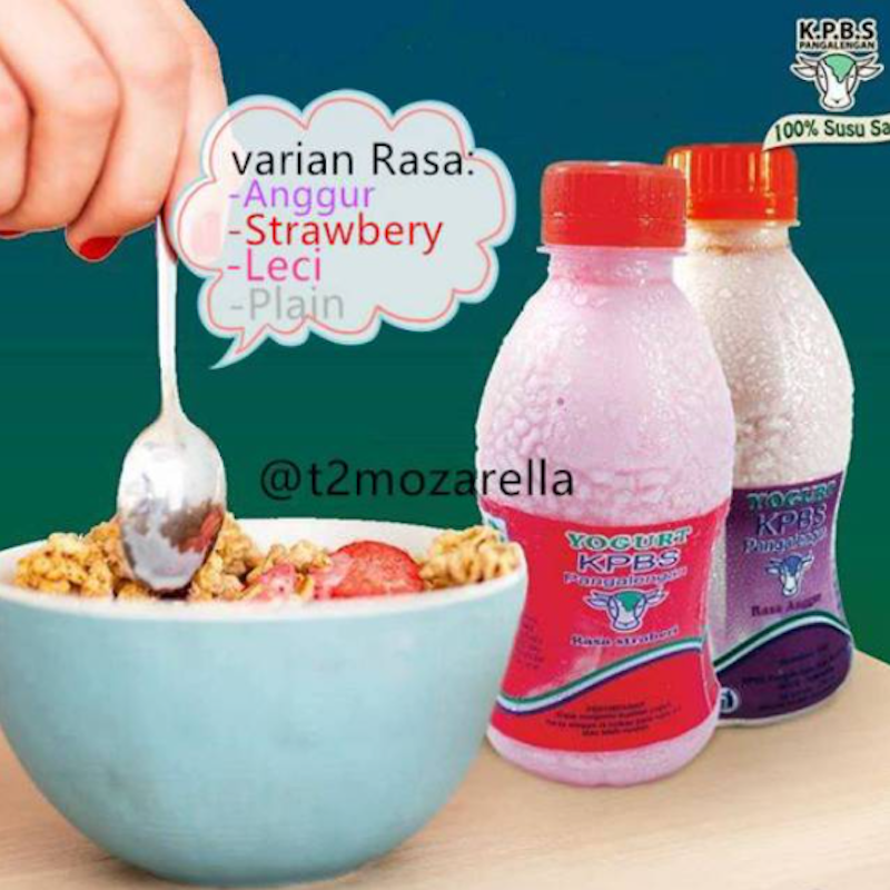 Yoghurt 5