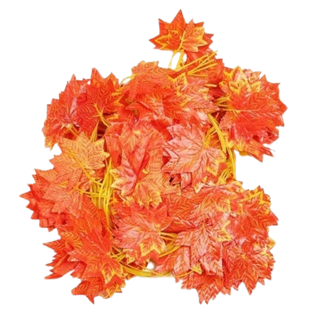  Daun Rambat Maple Orange