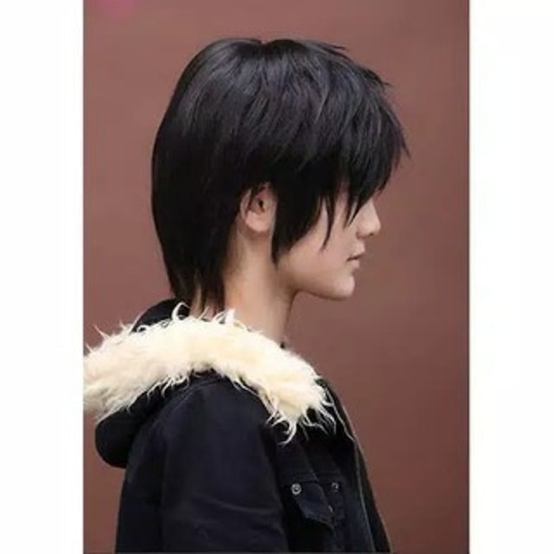 Short Black Man Full Wig 2