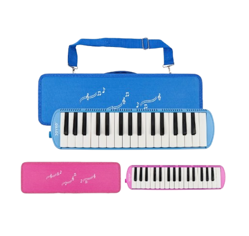 Pianika Hardcase 1