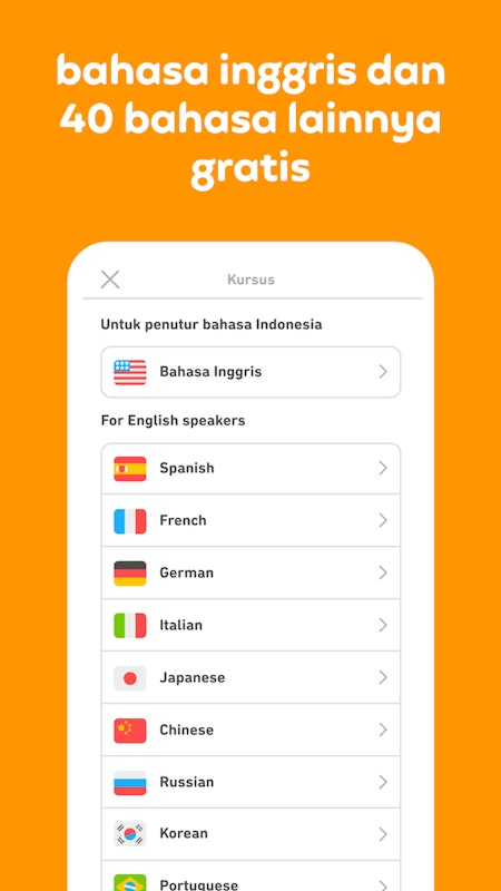 Duolingo 5