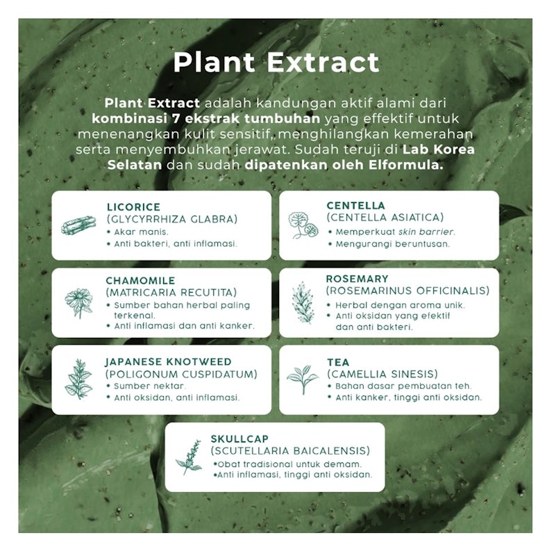 ELFORMULA Intensive Pore Clarifying Mugwort Mask 3
