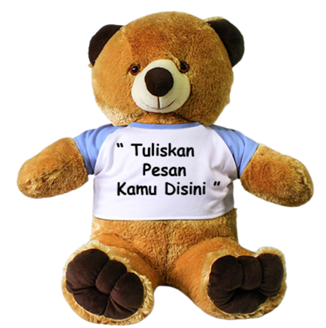 Boneka Beruang Tedi Bear Besar Custom