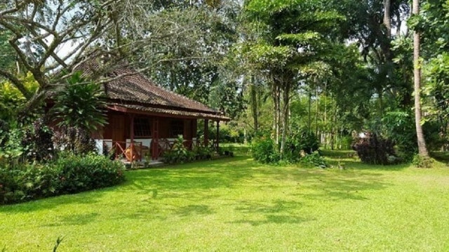 The Satwa Elephant Ecolodge 2