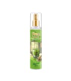 10 Rekomendasi Parfum Aroma Teh Terbaik (Terbaru Tahun 2026) 2