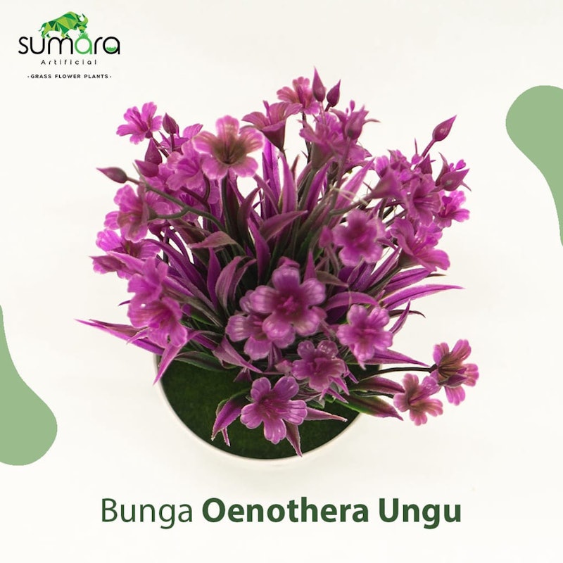 Bunga Sintetis Oenothera 3