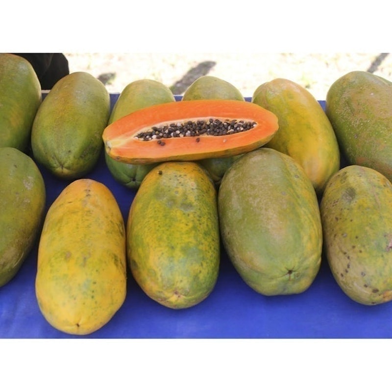 Pepaya California 2