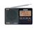 Tecsun DSP FM Pocket Radio 1
