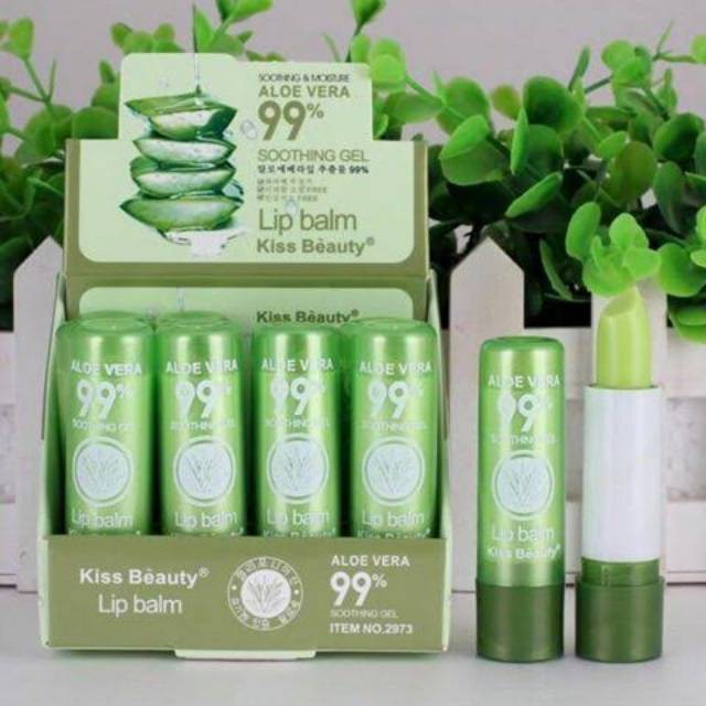 Meover Lipbalm Aloe Vera 