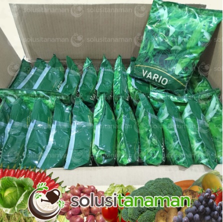 Saribenih Unggul Kangkung Cabut/Potong Vario