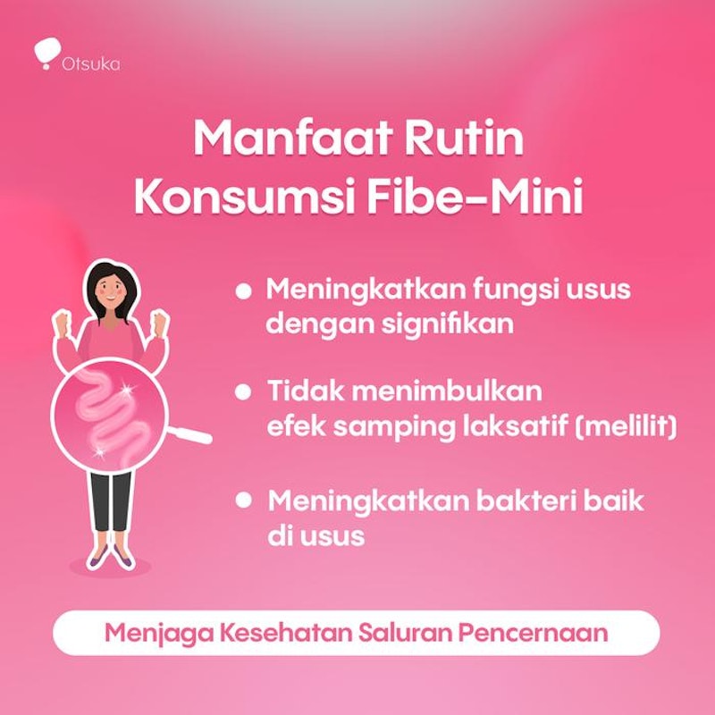 Fibe Mini 4