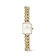 Timex Group Daniel Wellington Jolie Chain Gold 1