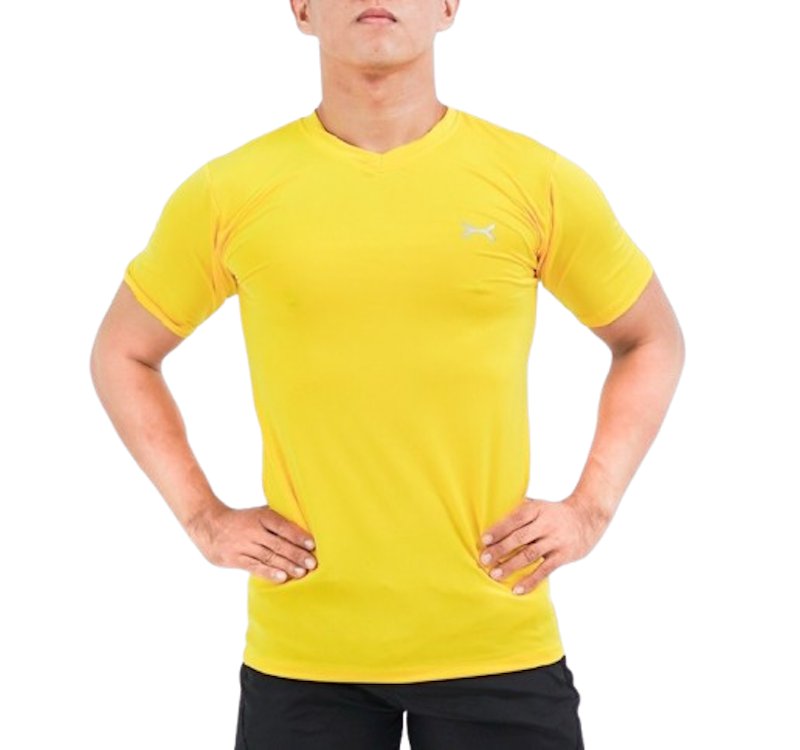 Flexzone Sports Tee Bodyfit Quickdry 1